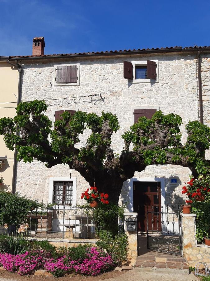 Casa Girasole Villa Buje Exteriör bild